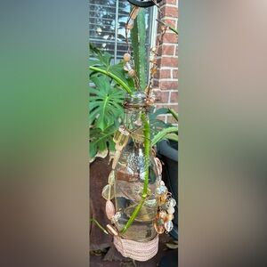 Hanging Suncatcher Root Starter & Water Plant Vase